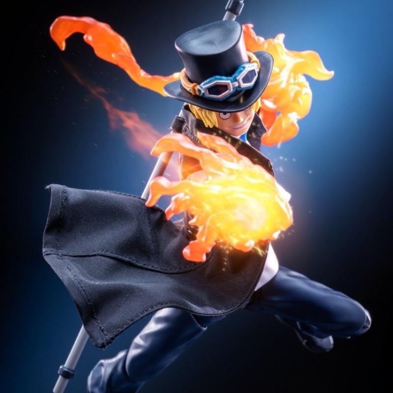 Shf 1/12 schaal Anime karakter - Windbreaker Anime Merchandise recensie en prijs