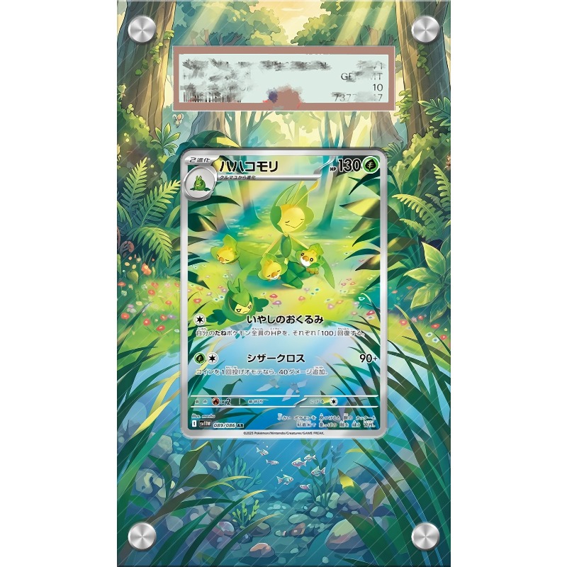 Art Display voor Pokemon Leava - Anime Merchandise For Girls recensie en prijs